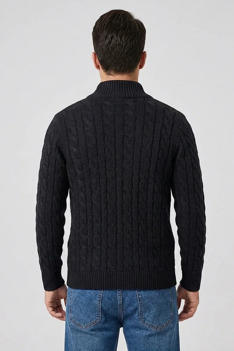 Callahan Zip Sweater in Black - back view
